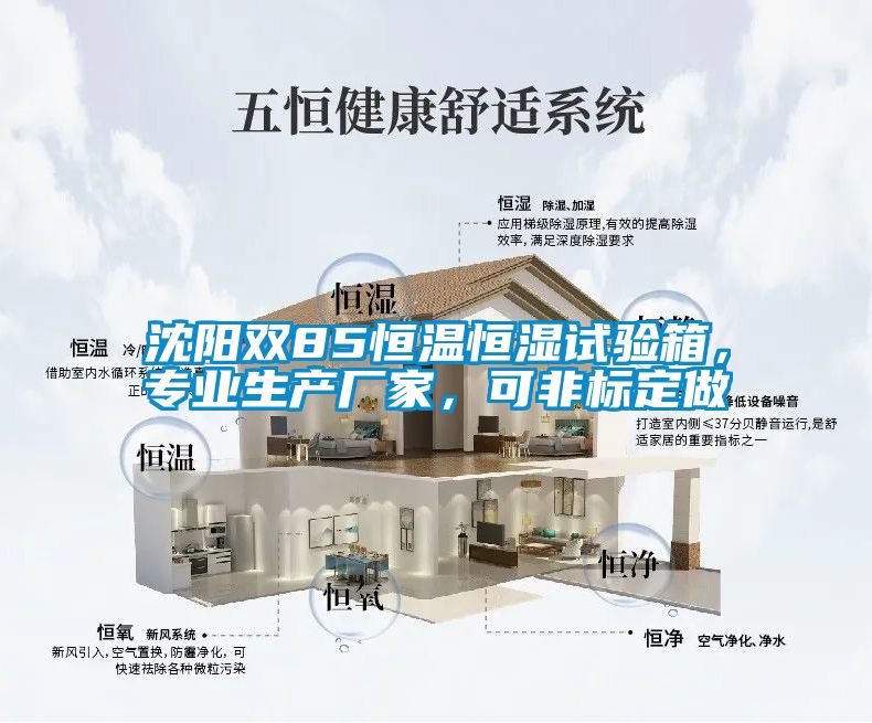 沈陽(yáng)雙85恒溫恒濕試驗(yàn)箱，專(zhuān)業(yè)生產(chǎn)廠家，可非標(biāo)定做