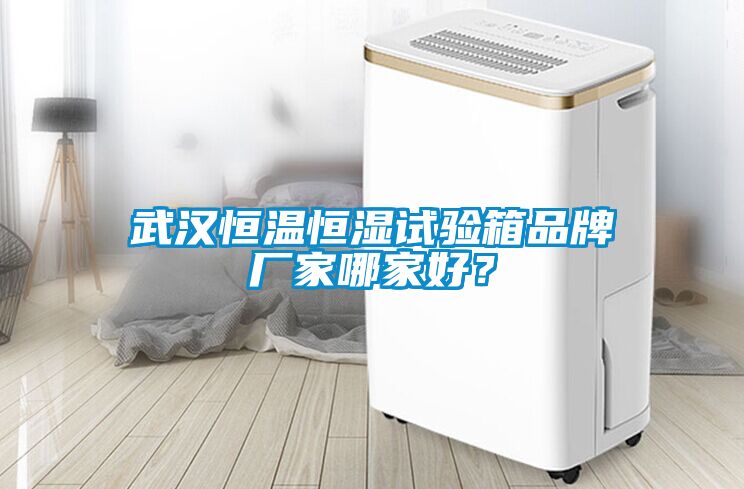武漢恒溫恒濕試驗(yàn)箱品牌廠家哪家好？