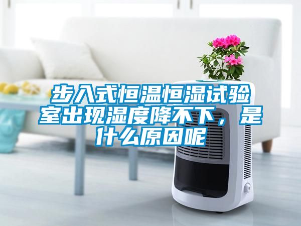 步入式恒溫恒濕試驗室出現(xiàn)濕度降不下，是什么原因呢