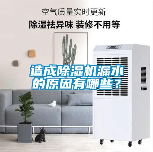 造成除濕機(jī)漏水的原因有哪些？