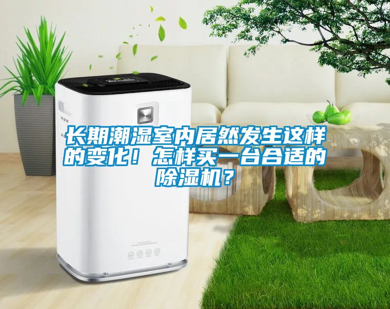 長期潮濕室內居然發(fā)生這樣的變化！怎樣買一臺合適的除濕機？
