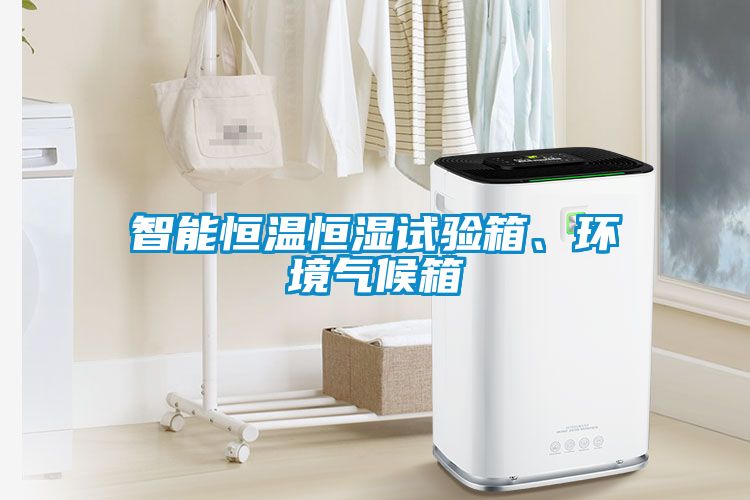 智能恒溫恒濕試驗箱、環(huán)境氣候箱