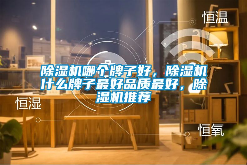 除濕機(jī)哪個(gè)牌子好，除濕機(jī)什么牌子最好品質(zhì)最好，除濕機(jī)推薦