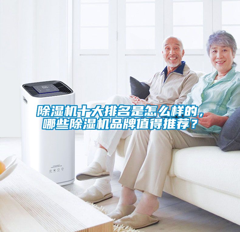 除濕機(jī)十大排名是怎么樣的，哪些除濕機(jī)品牌值得推薦？