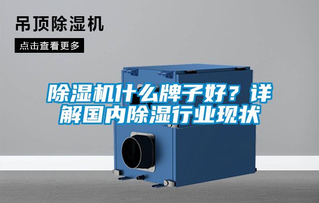 除濕機(jī)什么牌子好？詳解國內(nèi)除濕行業(yè)現(xiàn)狀