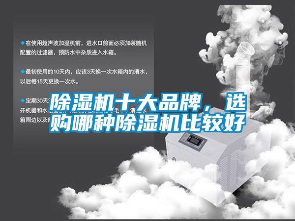 除濕機(jī)十大品牌，選購(gòu)哪種除濕機(jī)比較好