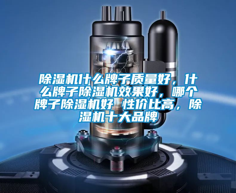除濕機(jī)什么牌子質(zhì)量好，什么牌子除濕機(jī)效果好，哪個(gè)牌子除濕機(jī)好 性?xún)r(jià)比高，除濕機(jī)十大品牌