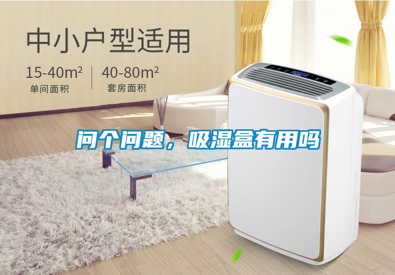 問(wèn)個(gè)問(wèn)題，吸濕盒有用嗎