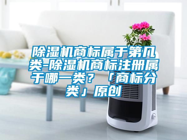 除濕機(jī)商標(biāo)屬于第幾類(lèi)-除濕機(jī)商標(biāo)注冊(cè)屬于哪一類(lèi)？「商標(biāo)分類(lèi)」原創(chuàng)