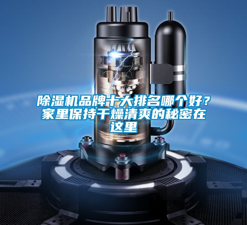 除濕機(jī)品牌十大排名哪個(gè)好？家里保持干燥清爽的秘密在這里