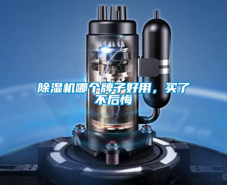 除濕機(jī)哪個(gè)牌子好用，買了不后悔