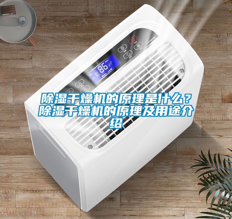 除濕干燥機(jī)的原理是什么？除濕干燥機(jī)的原理及用途介紹