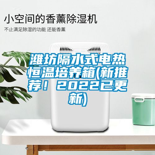 濰坊隔水式電熱恒溫培養(yǎng)箱(新推薦！2022已更新)