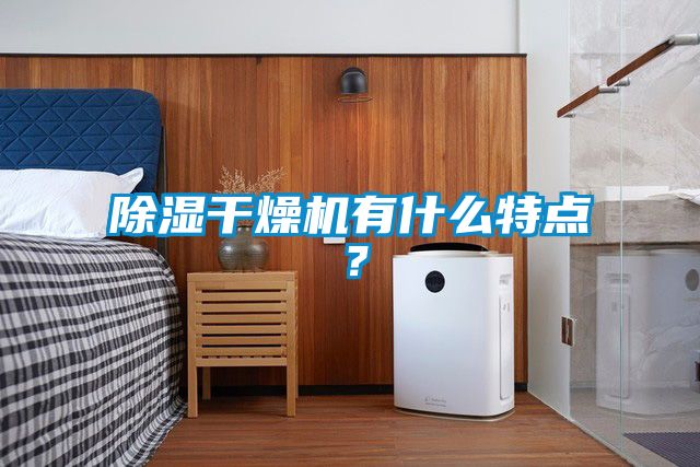 除濕干燥機(jī)有什么特點(diǎn)？