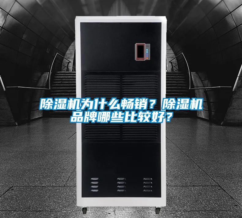 除濕機為什么暢銷？除濕機品牌哪些比較好？