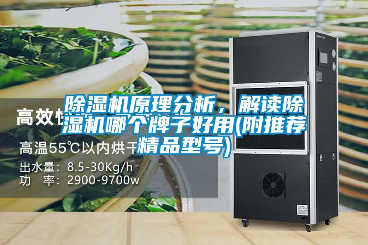 除濕機(jī)原理分析，解讀除濕機(jī)哪個(gè)牌子好用(附推薦精品型號(hào))