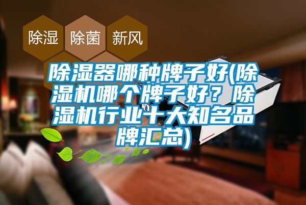 除濕器哪種牌子好(除濕機(jī)哪個牌子好？除濕機(jī)行業(yè)十大知名品牌匯總)