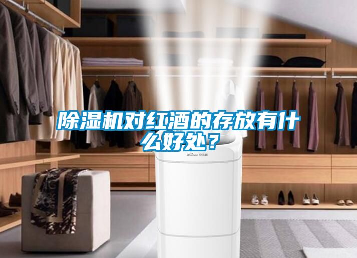 除濕機對紅酒的存放有什么好處？