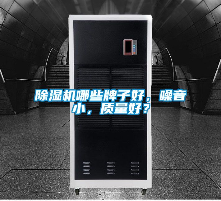 除濕機哪些牌子好，噪音小，質量好？