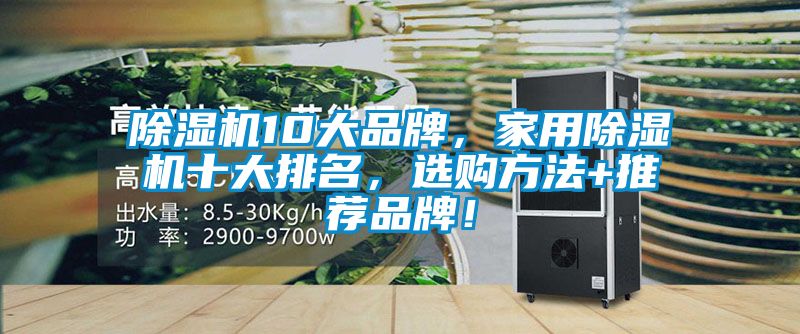 除濕機(jī)10大品牌，家用除濕機(jī)十大排名，選購(gòu)方法+推薦品牌！