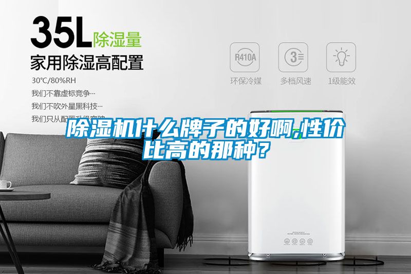 除濕機(jī)什么牌子的好啊,性價比高的那種？