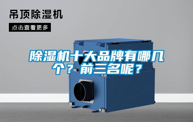 除濕機十大品牌有哪幾個？前三名呢？