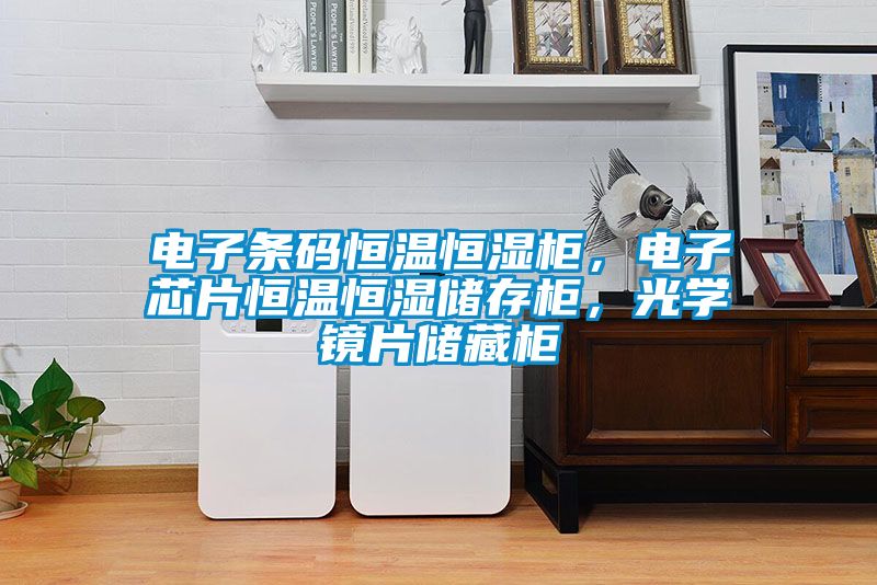 電子條碼恒溫恒濕柜，電子芯片恒溫恒濕儲存柜，光學鏡片儲藏柜