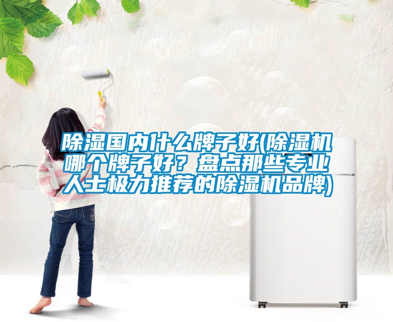 除濕國內(nèi)什么牌子好(除濕機(jī)哪個牌子好？盤點那些專業(yè)人士極力推薦的除濕機(jī)品牌)