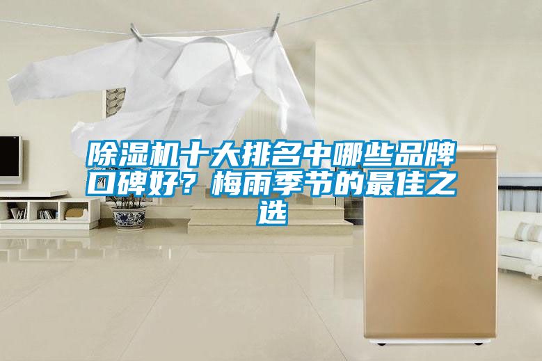 除濕機(jī)十大排名中哪些品牌口碑好？梅雨季節(jié)的最佳之選