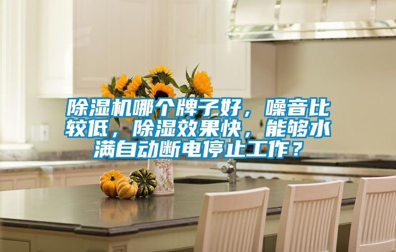 除濕機(jī)哪個(gè)牌子好，噪音比較低，除濕效果快，能夠水滿自動(dòng)斷電停止工作？