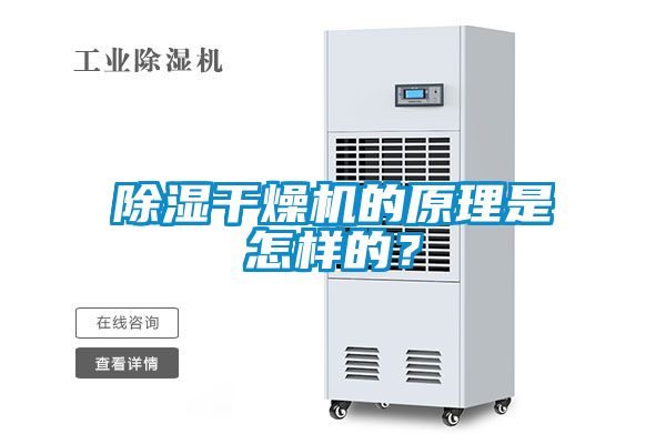 除濕干燥機(jī)的原理是怎樣的？