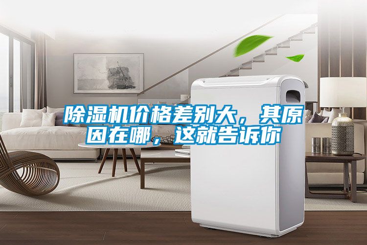 除濕機價格差別大，其原因在哪，這就告訴你