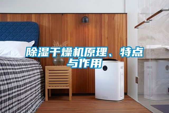除濕干燥機(jī)原理、特點(diǎn)與作用