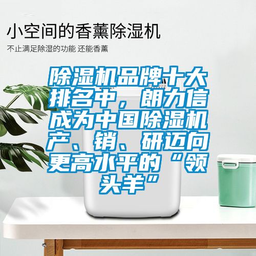 除濕機(jī)品牌十大排名中，朗力信成為中國(guó)除濕機(jī)產(chǎn)、銷、研邁向更高水平的“領(lǐng)頭羊”