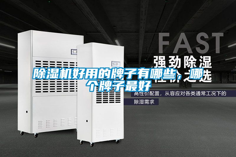 除濕機好用的牌子有哪些，哪個牌子最好
