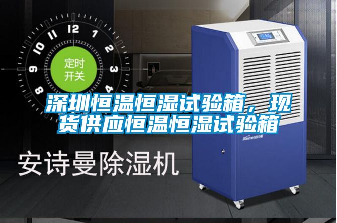 深圳恒溫恒濕試驗(yàn)箱，現(xiàn)貨供應(yīng)恒溫恒濕試驗(yàn)箱
