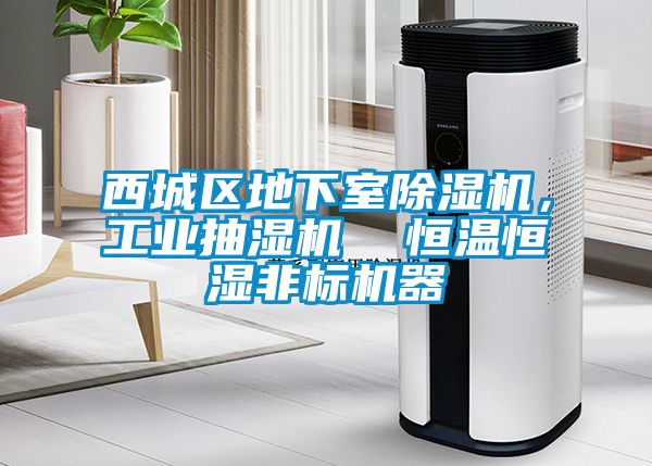西城區(qū)地下室除濕機，工業(yè)抽濕機  恒溫恒濕非標機器
