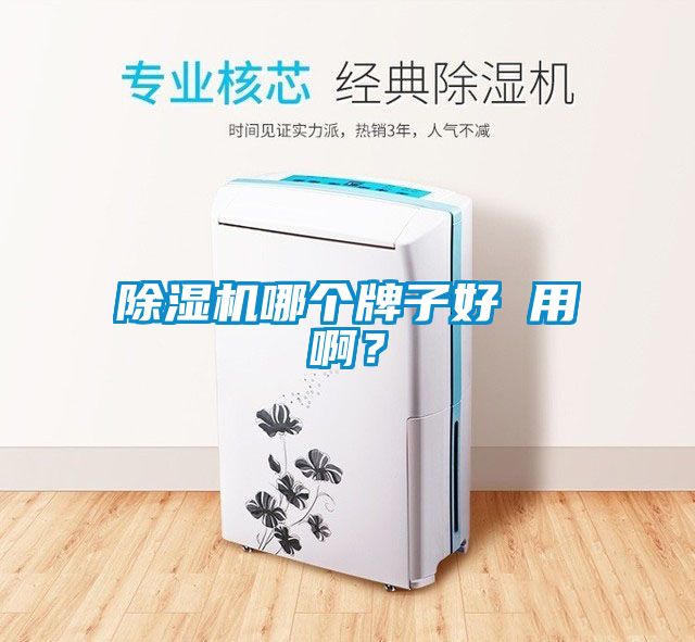 除濕機(jī)哪個(gè)牌子好 用啊？