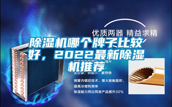 除濕機哪個牌子比較好，2022最新除濕機推薦