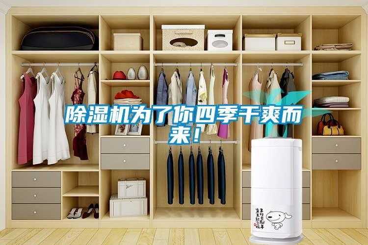 除濕機(jī)為了你四季干爽而來！