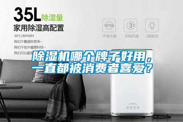 除濕機(jī)哪個(gè)牌子好用，一直都被消費(fèi)者喜愛？