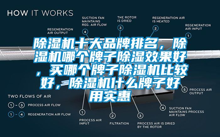 除濕機(jī)十大品牌排名，除濕機(jī)哪個(gè)牌子除濕效果好，買哪個(gè)牌子除濕機(jī)比較好，除濕機(jī)什么牌子好用實(shí)惠
