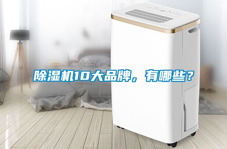 除濕機(jī)10大品牌，有哪些？