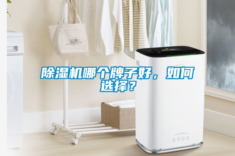 除濕機(jī)哪個(gè)牌子好，如何選擇？