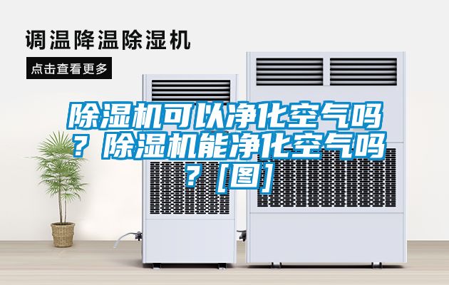 除濕機(jī)可以凈化空氣嗎？除濕機(jī)能凈化空氣嗎？[圖]