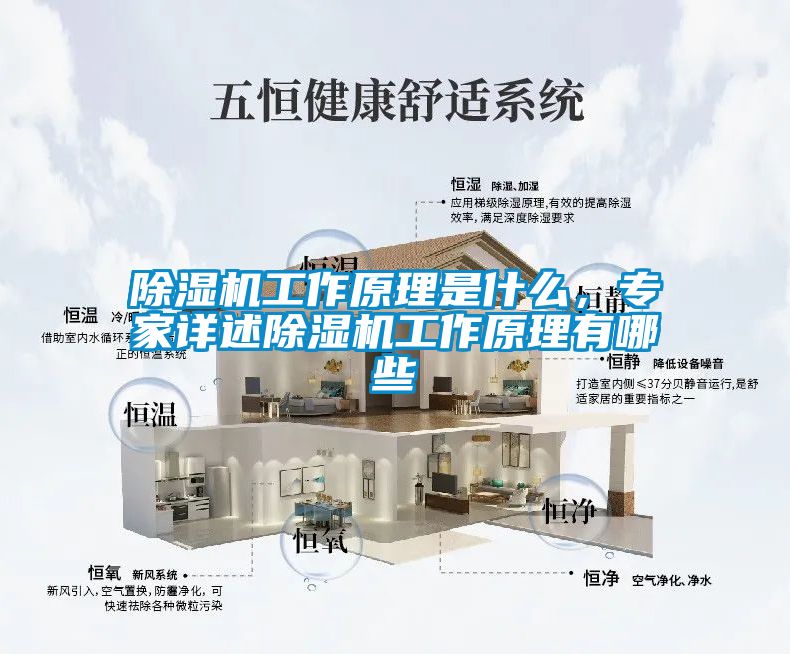 除濕機(jī)工作原理是什么，專家詳述除濕機(jī)工作原理有哪些