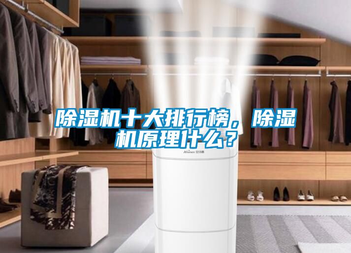 除濕機(jī)十大排行榜，除濕機(jī)原理什么？