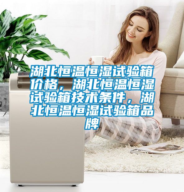 湖北恒溫恒濕試驗(yàn)箱價格，湖北恒溫恒濕試驗(yàn)箱技術(shù)條件，湖北恒溫恒濕試驗(yàn)箱品牌