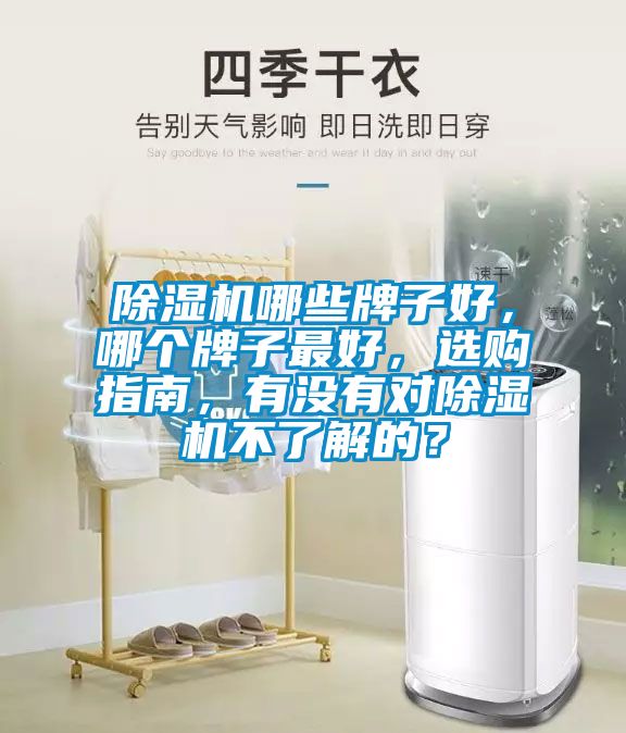 除濕機(jī)哪些牌子好，哪個(gè)牌子最好，選購(gòu)指南，有沒(méi)有對(duì)除濕機(jī)不了解的？