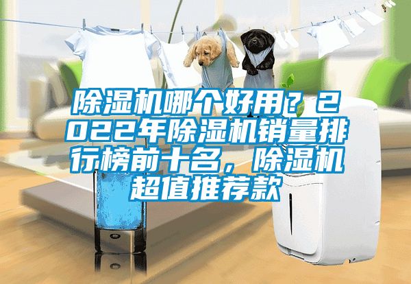 除濕機哪個好用？2022年除濕機銷量排行榜前十名，除濕機超值推薦款